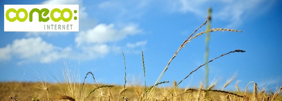 NUESTRO PROVEEDOR DE INTERNET